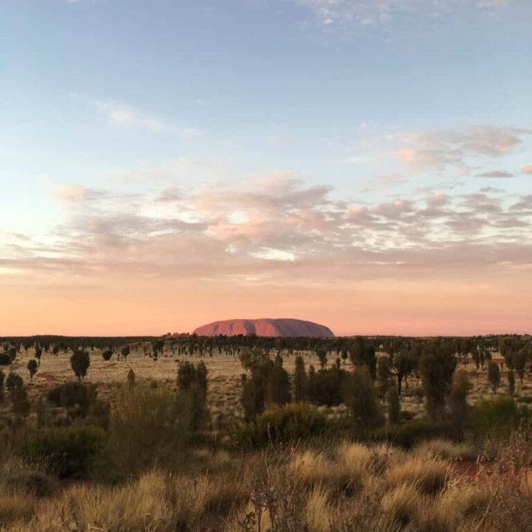 Uluru: Field of Light Sunrise Tour with Hot Drinks - Deep Dive: The Itinerary and What Makes It Special