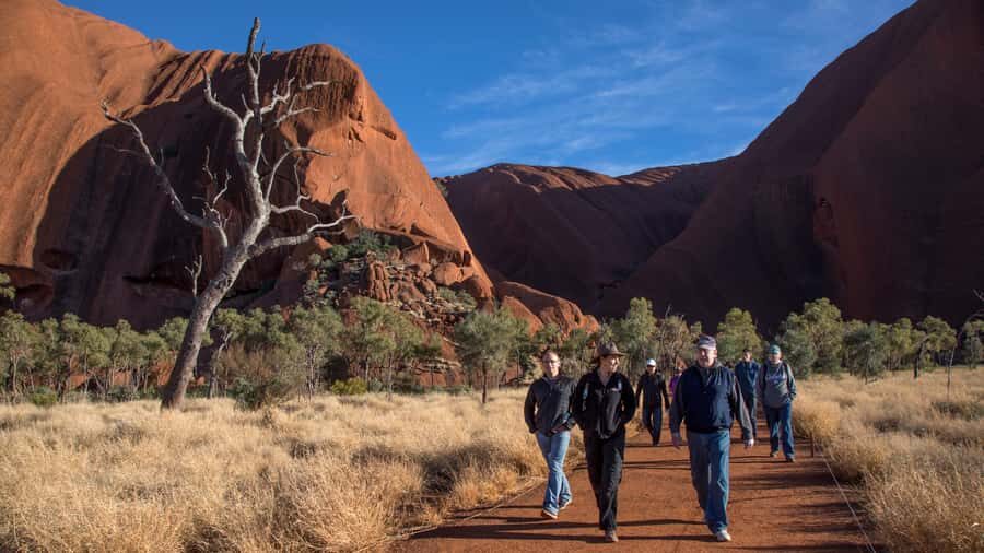 Uluru Highlights Small Group Morning Tour + Picnic Breakfast - Why This Tour Offers Good Value