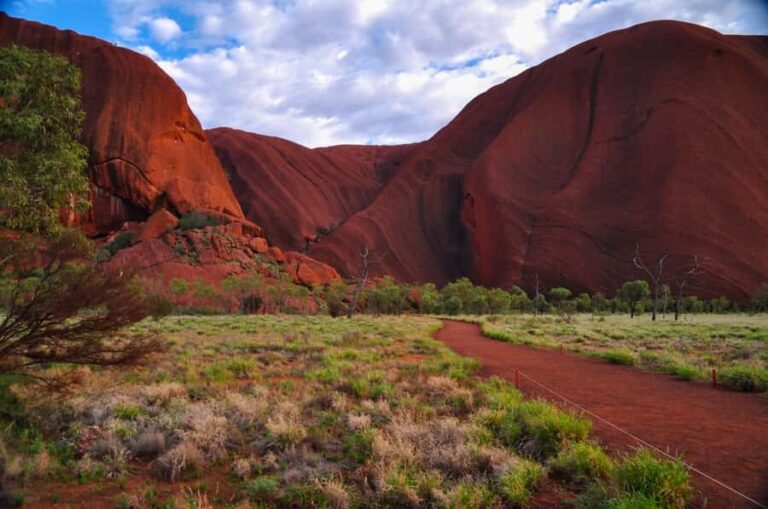 Uluru: Sacred Sites Tour + Sparkling at Sunset & BBQ Dinner - Practical Details: What You Need to Know