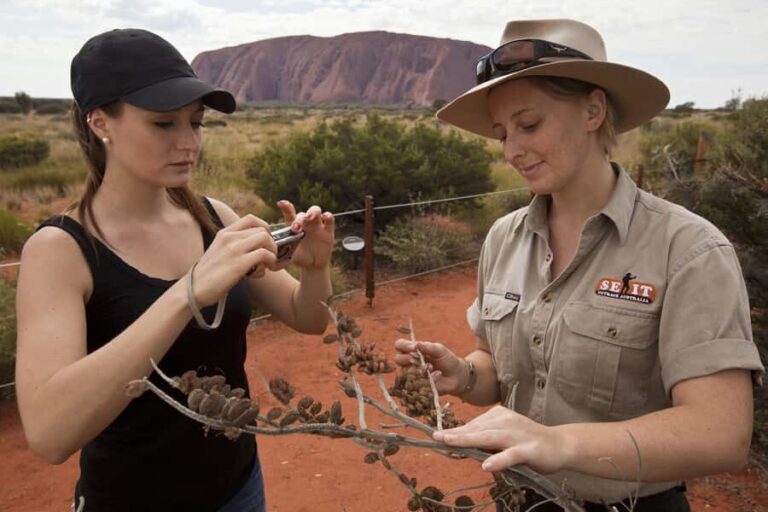 Uluru: Small Group Guided Tour with Sunset Refreshments - Deep Dive into the Itinerary and Its Value