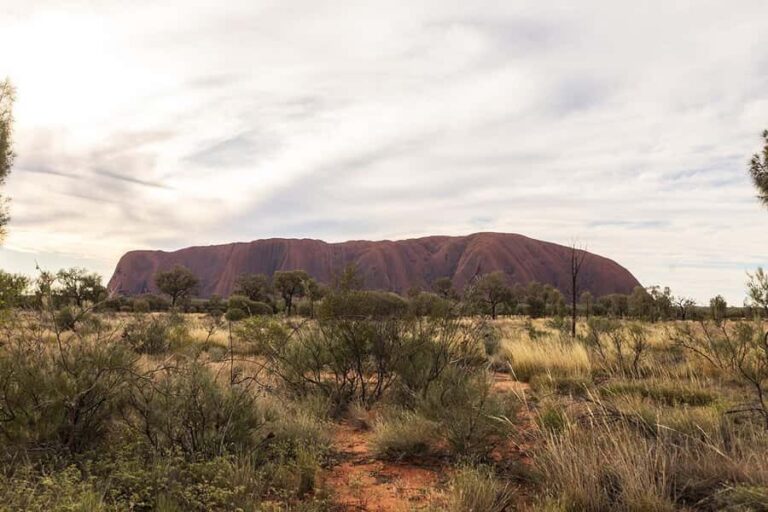 Uluru: Small Group Sunset Tour with Sparkling Wine - Who Would Love This Tour?