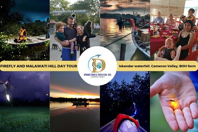 Unbelievable Firefly Kuala Selangor Day Tour - The Itinerary: A Detailed Walkthrough