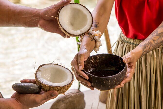 Underwater Observatory & Coconut Experience - Authentic Cultural Insights and Local Flavors