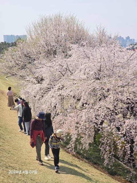 Unesco heritage, Suwon Hwaseong fortress, and Folk village - In-Depth Look at the Tour Experience