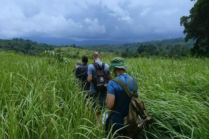 UNESCO Khao Yai National Park Adventure: Hiking & Waterfalls - Practical Details and Recommendations