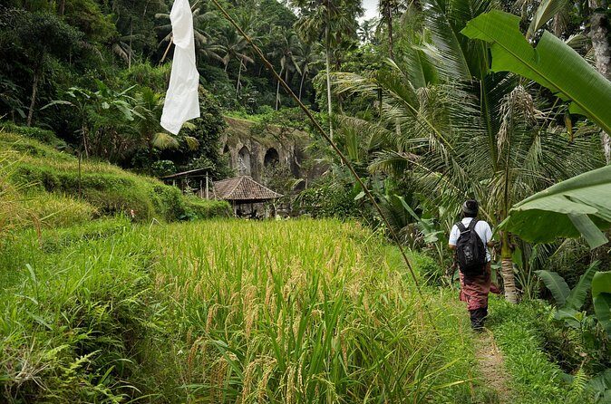 UNESCO Sites Cultural Walking Tour in Bali - Practical Details and Considerations