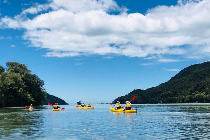 Unguided 3-Day Freedom Kayak Rental New Zealand - Who Should Consider This Experience?