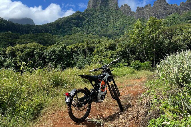 Unique excursion to Moorea on a 100% electric motorbike - Why We Love This Experience