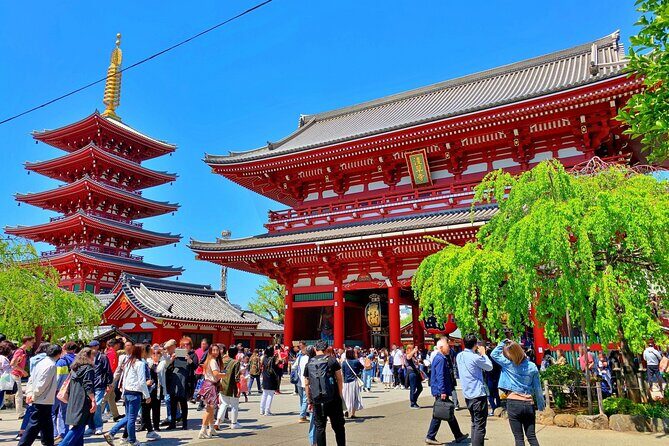 Unlock Hidden Tokyo: Private Custom Tour with a Local guide - The Practical Side: What You Need to Know