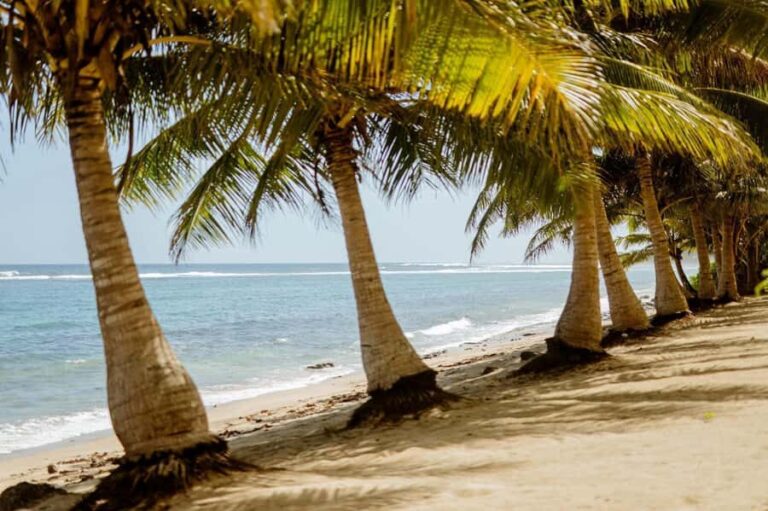 Upolu Samoa Full Day Private Tour - What We Like About This Tour