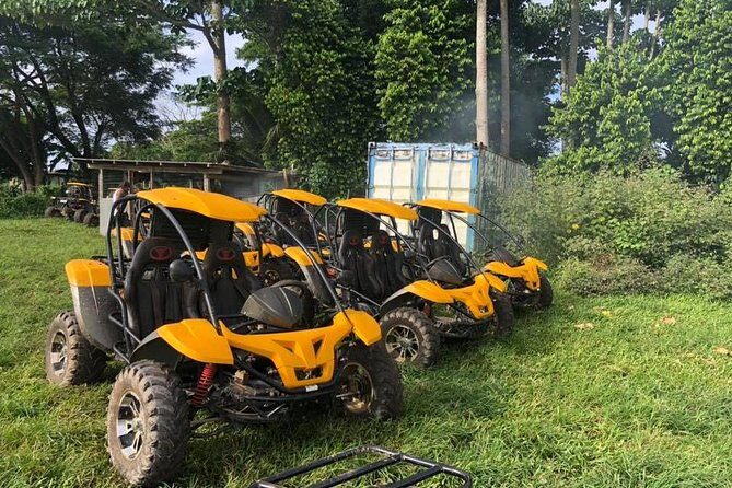 Vanuatu Buggy Adventure with Yumi Tours - Whats Included and What to Expect
