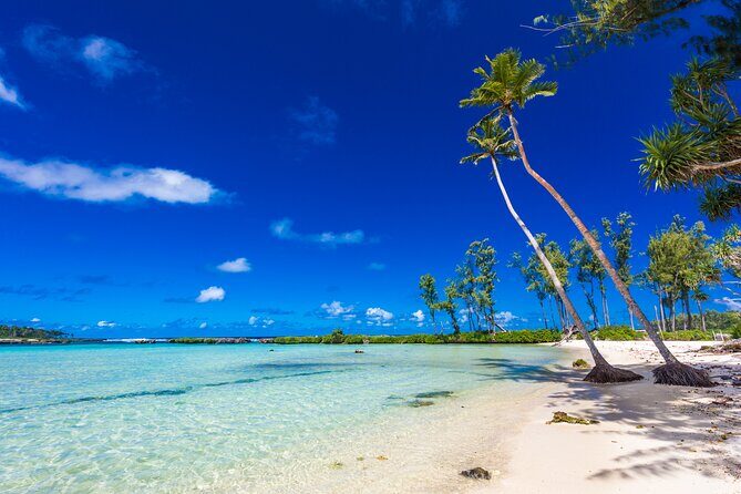 Vanuatu Highlights and Duty Free Shopping - What to Expect and How to Make the Most of It