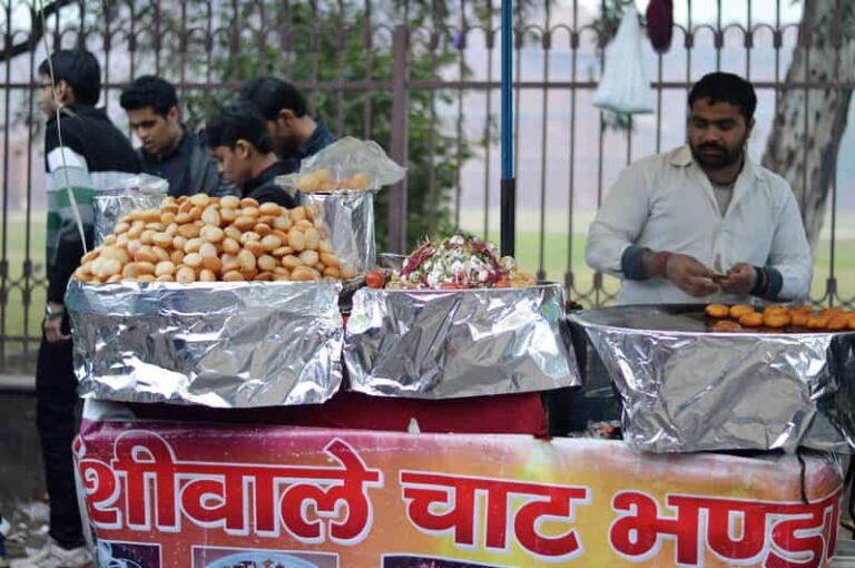 Vegan Food and Walking Tour in Delhi - Authenticity and Cultural Immersion