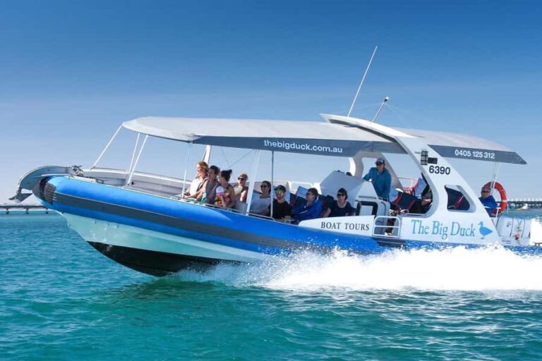 Victor Harbor: Seal Island Cruise - Wildlife Encounters and Marine Life