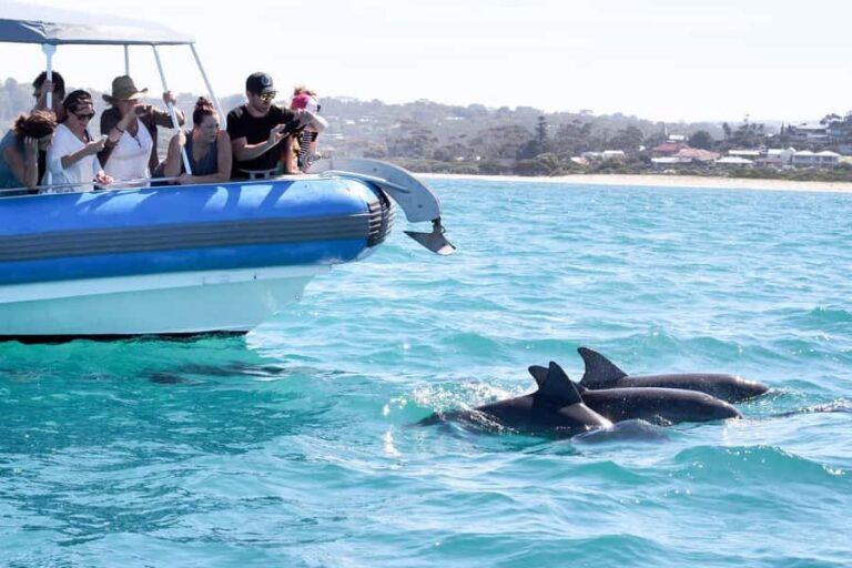 Victor Harbor: Southern Ocean Adventure Cruise with Guide - Setting Off from Victor Harbor