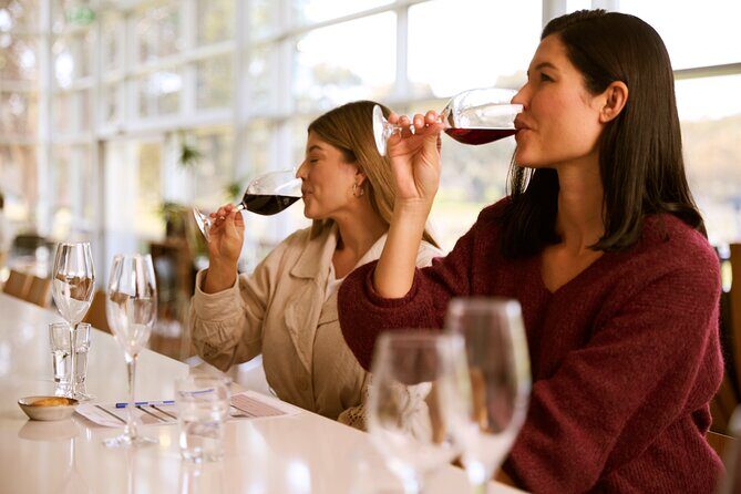 Vineyard Trail Ride and Taste at Jacobs Creek - The Sum Up