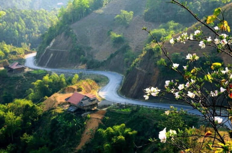 Visit all place in Dien Bien Phu 1 day - Private tour by car - Why This Tour Is a Solid Choice