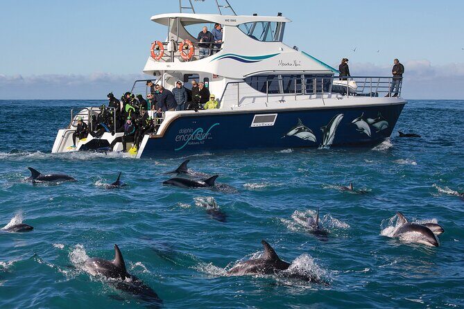 Visit Kaikura from Christchurch (small group Tour) - The Nuts and Bolts: What Does the Tour Offer?
