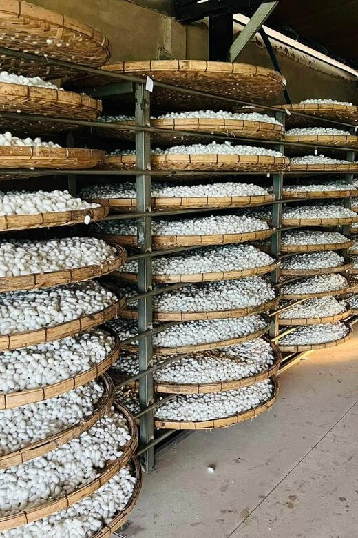 Visiting Silk Factory & Coffee - Practical Details That Matter