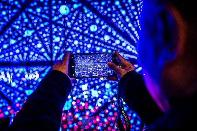 Vivid Sydney Walking Tour Lights, Stories and Secret Spots - Caveats and Considerations