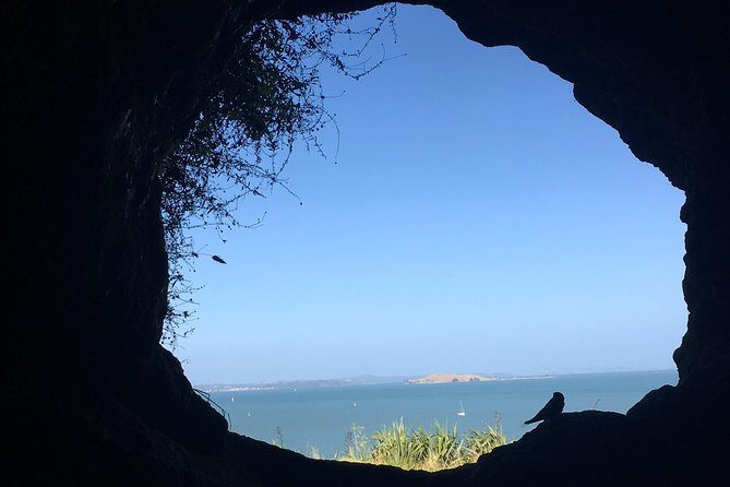 Volcanoes, Coasts, and Secret Spots Afternoon Tour in Auckland - What Makes This Tour Special
