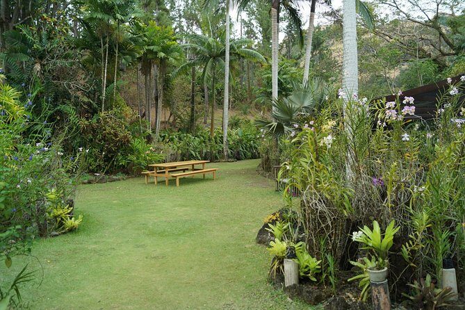 Vuda Lookout, Vesisei Village, Market, Temple & Garden of Sleeping Giant Tour - Who Should Consider This Tour?