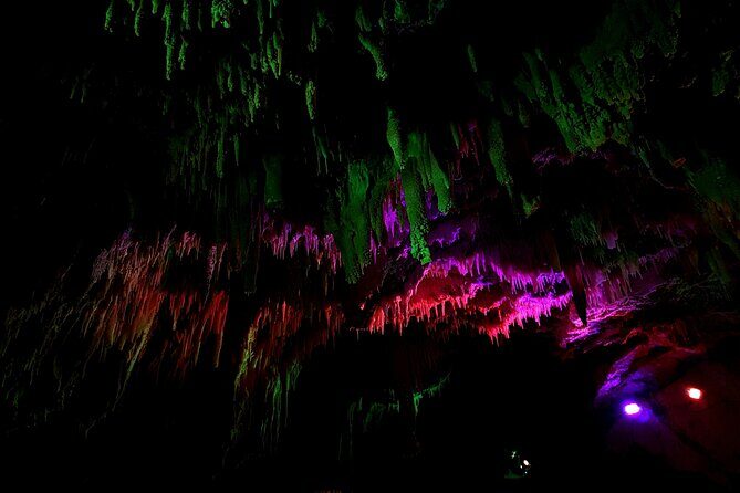 Wai O Tapu Secret spot Hot Tubs and Waitomo Glowworm Caves Tour - Analyzing the Value and Practicalities