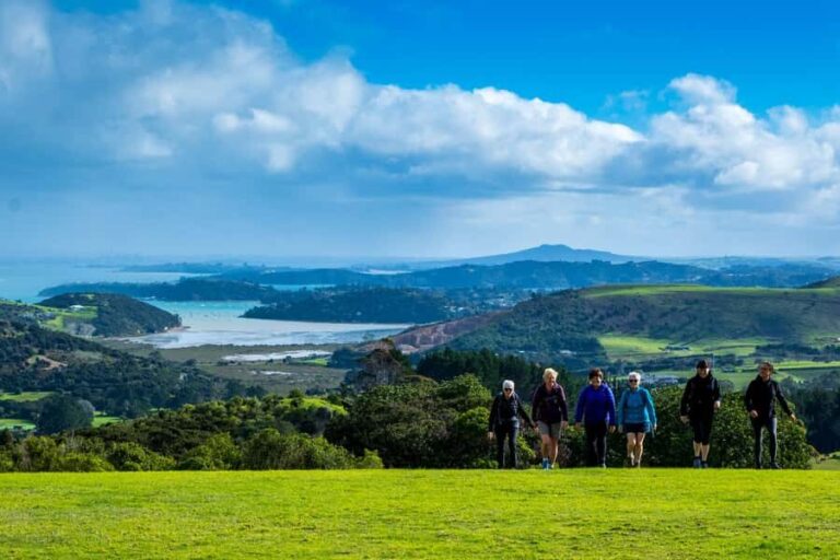 Waiheke Island: Double Headland Premium Guided Coastal Walk - The Scenic Highlights
