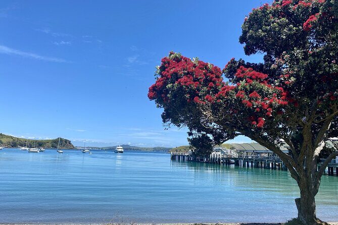 Waiheke Island Gourmet Food and Wine Tour - Authentic Experiences and Reviews