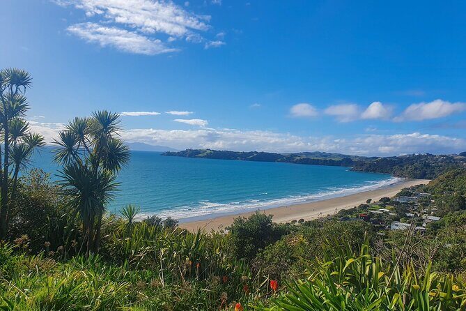Waiheke Island Half Day Scenic Wine and Lunch - The Experience: What Travelers Say