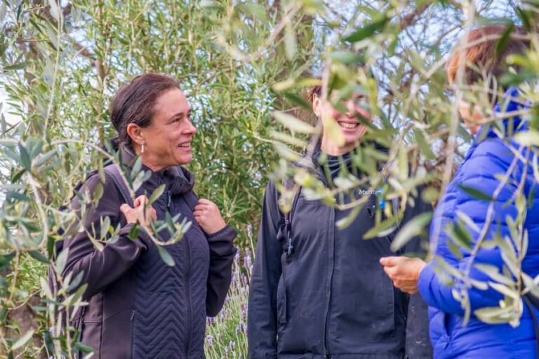 Waiheke Island: Premium Vineyard, Wine Tasting and Bush Walk - Practical Details and Why They Matter