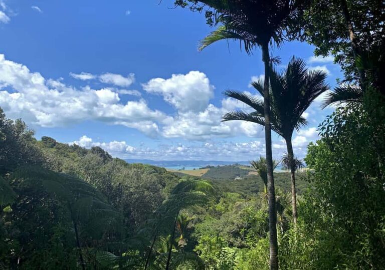 Waiheke Island: Private Guided Te Ara Hura 5-Day Walk - The Daily Breakdown