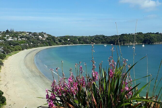 Waiheke Island Private Tours - Who Will Love This Experience?