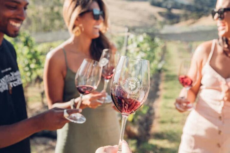 Waiheke Island: Scenic Island Wine Tour & Local Wine Tasting - Transportation & Group Size