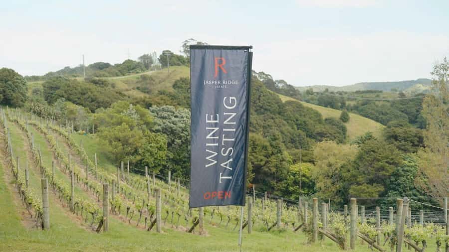 Waiheke Island: Wine, Gin, and Olive Oil Tour with Lunch - Practical Details: What to Expect