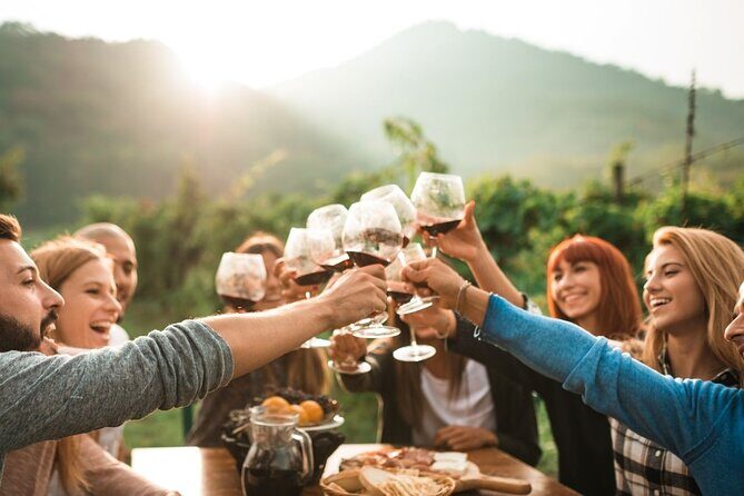 Waiheke Island Wine Tasting Afternoon/Sundowner Trip - The Practicalities and Value