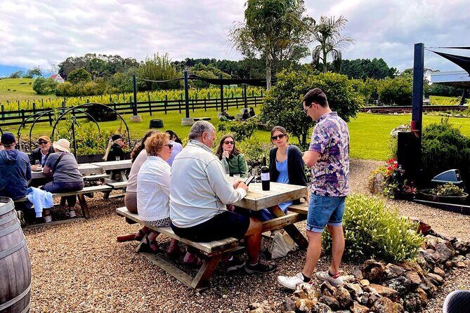 Waiheke Island Wine Tour with Scenic Vineyards & Tastings - Who Should Take This Tour?