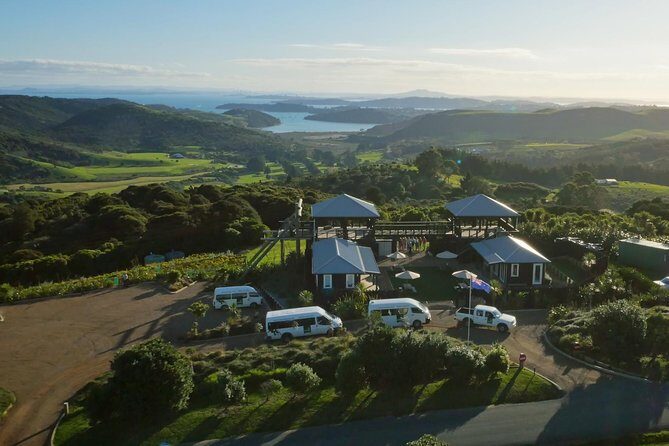 Waiheke Island: Zipline And Forest Walk - What’s Included and What’s Not