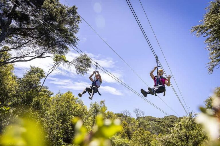 Waiheke Island: Zipline and Native Forest Adventure Trip - The Sum Up