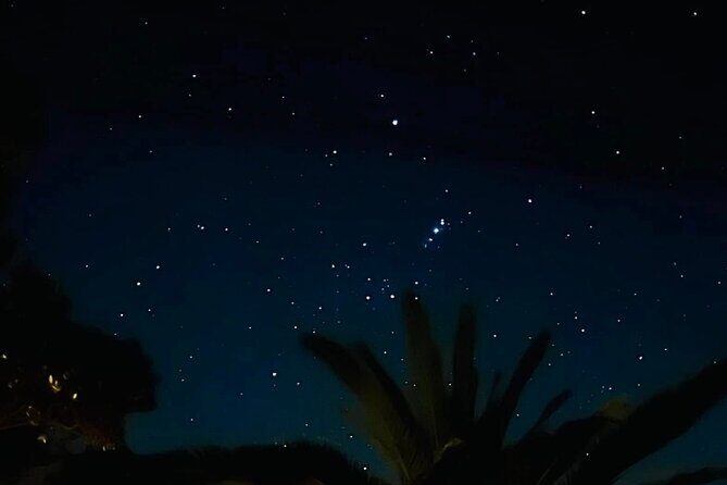 Waiheke Private Stargazing Tour Night Walk - The Itinerary: What to Expect