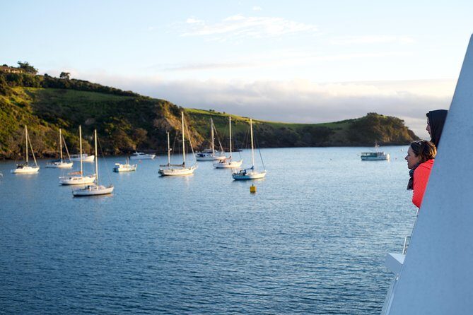 Waiheke Wine and Dine - Batch Winery - Practical Considerations