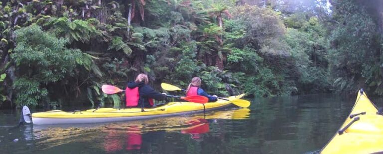 Waikato River: Glowworm Kayak Tour with Wine & Snacks - Practical Details and What to Know