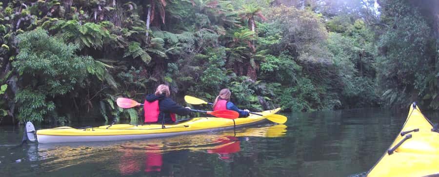 Waikato River: Glowworm Kayak Tour with Wine & Snacks - Practical Details and What to Know