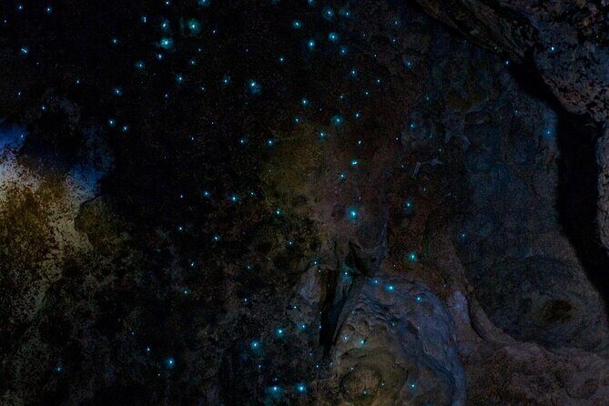 Waiomio Kawiti Glowworm Cave & Ngawha Hot Springs day tour - Analyzing the Experience’s Value