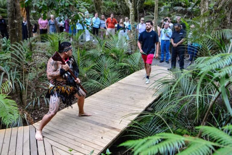 Waitangi: Treaty Grounds Hng and Concert Combo Pass - The Guided Tour of Waitangi Treaty Grounds