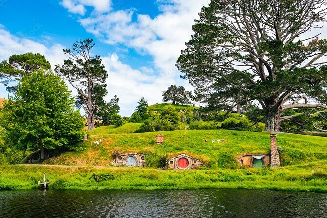 Waitomo Cave and Hobbiton Village Full Day Tour - Who Should Consider This Tour?