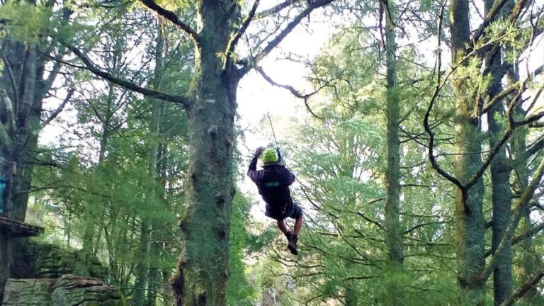 Waitomo Caves 1-Kilometer-Long Zipline Tour - Practical Details and Logistics