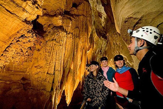 Waitomo Caves Private Driver for Tour - An In-Depth Look at the Tour Experience