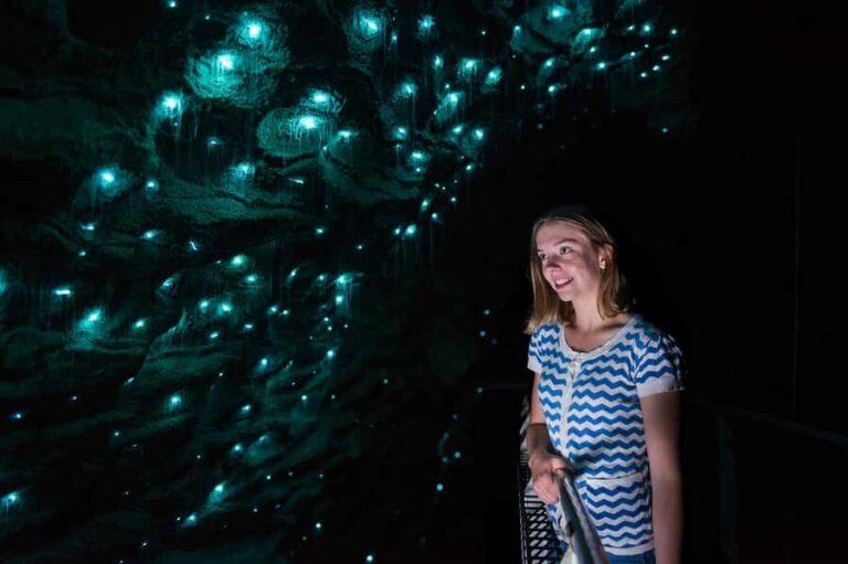 Waitomo Caves: Ruakuri Glowworm Cave Guided Walking Tour - What to Expect