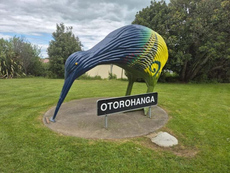 Waitomo: Caves to Kiwis eBike ride - What to Expect and Practical Tips
